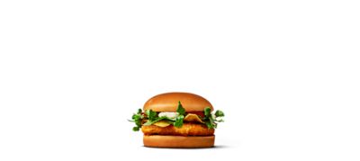 Chicken Salsa
